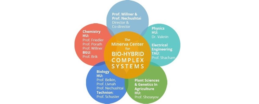 Minerva Center for Bio-Hybrid Complex Systems